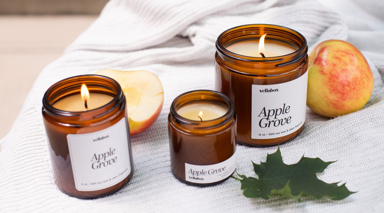 Fall Collection